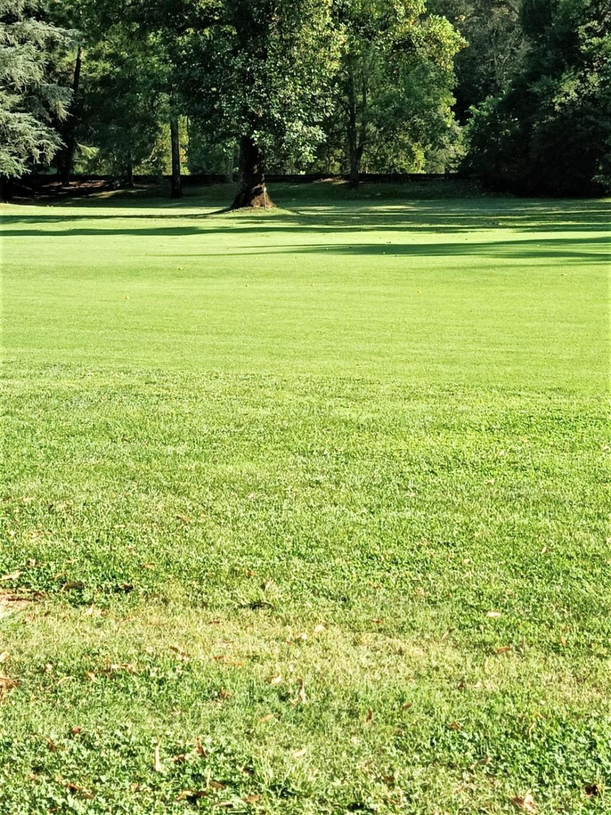 Fronte Del Golf Apartment Rapallo Bagian luar foto